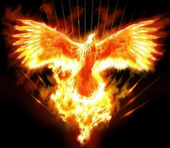 Screen Shot 2016-04-28 at 9.15.40 AM.png